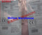 1PC NEW CONTRINEX DW-AS-503-P12-635