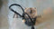 NEW IN BOX MITSUBISHI HC-KFS23B Servo motor