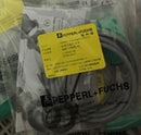 1PC Brand New P+F NBN10-F10-E0