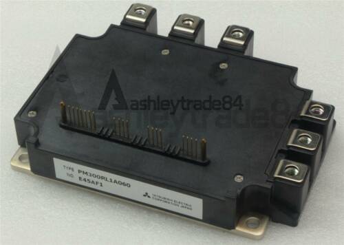 1PCS PM300RL1A-060 MITSUBISHI MODULE NEW