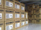 1PC Brand NEW Mitsubishi HG-SN152J-S100