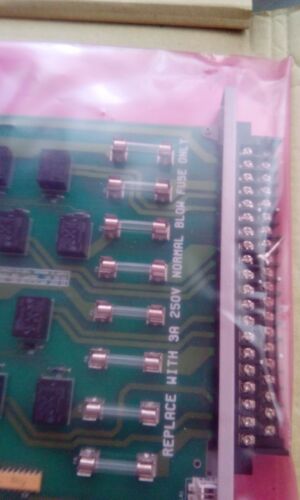 SIEMENS TEXAS INSTRUMENT 505-4908 RELAY OUTPUT MODULE