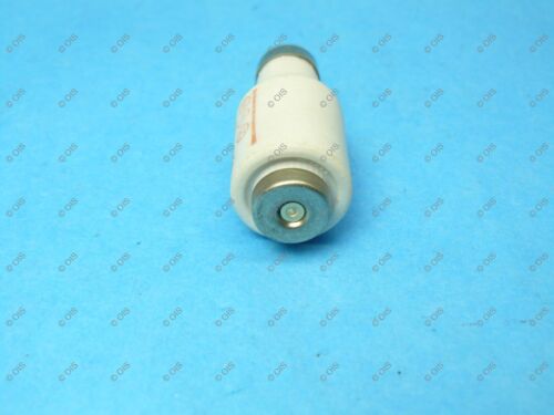 Siemens 5SB28 5SB281 Daized Fuse Link 25 Amp DII E27 500 VAC/DC gL/gI New