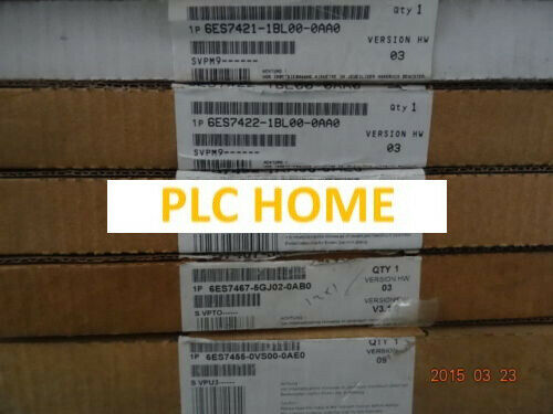 1PC Brand New Siemens 6RY1243-0AA00 6RY12430AA00*