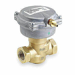 SIEMENS Valve And Actuator,Pneumatic,Pipe 1/2 In, 257-02041