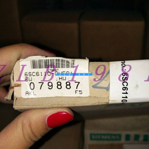 ONE NEW Siemens 6SC6110-0HF01