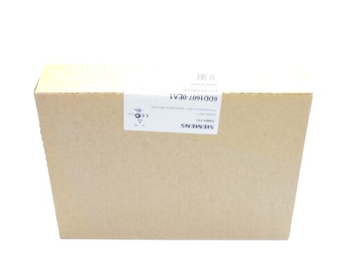 SIEMENS 6DD1607-0EA1 NSFS