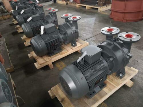 NCC- 200 - NES NCC Liquid Ring Vacuum Pumps - Siemens BV Type