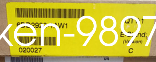 1PC NEW Siemens 6DD2920-1AW1 #Y