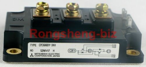 One New In Box MITSUBISHI CM300DY-24H CM300DY24H IGBT Module